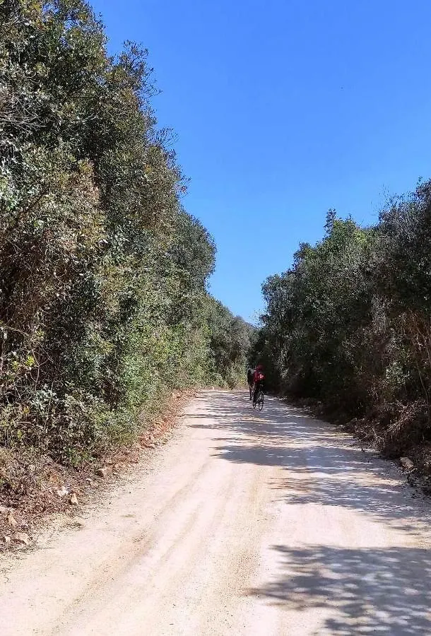 Casa vacanze Casetta Olivetta Šišan